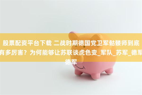 股票配资平台下载 二战时期德国党卫军骷髅师到底有多厉害？为何能够让苏联谈虎色变_军队_苏军_德军