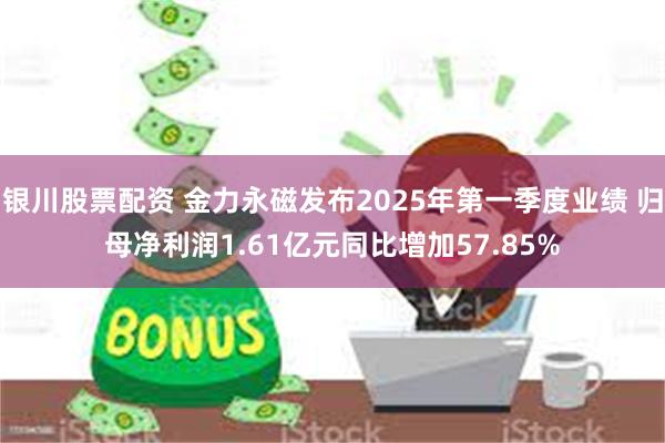 银川股票配资 金力永磁发布2025年第一季度业绩 归母净利润1.61亿元同比增加57.85%