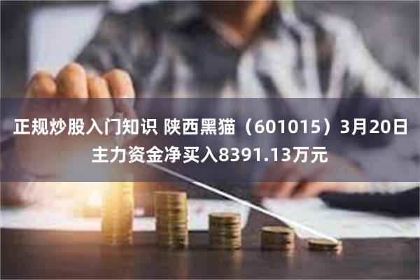 正规炒股入门知识 陕西黑猫（601015）3月20日主力资金净买入8391.13万元