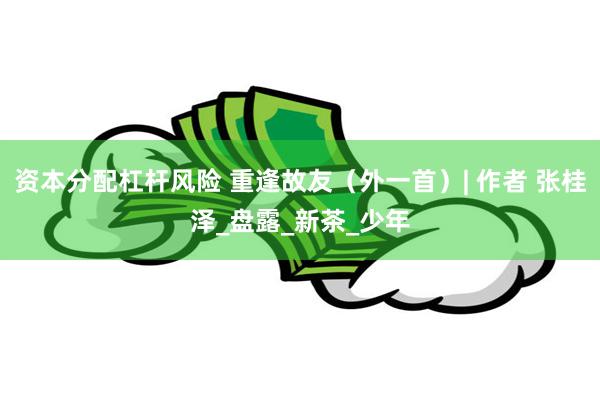 资本分配杠杆风险 重逢故友（外一首）| 作者 张桂泽_盘露_新茶_少年
