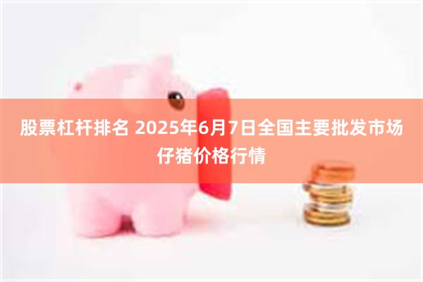 股票杠杆排名 2025年6月7日全国主要批发市场仔猪价格行情