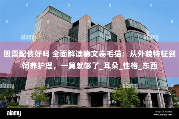 股票配债好吗 全面解读德文卷毛猫：从外貌特征到饲养护理，一篇就够了_耳朵_性格_东西