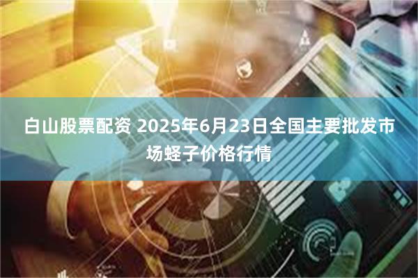 白山股票配资 2025年6月23日全国主要批发市场蛏子价格行情