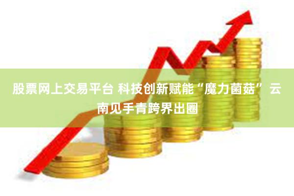 股票网上交易平台 科技创新赋能“魔力菌菇” 云南见手青跨界出圈