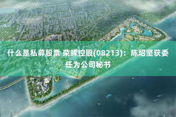 什么是私募股票 荣晖控股(08213)：陈炤坚获委任为公司秘书