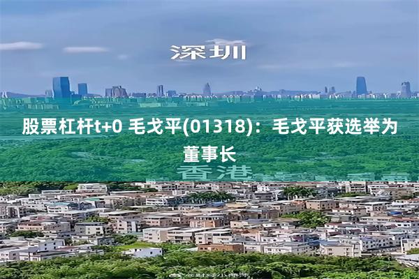 股票杠杆t+0 毛戈平(01318)：毛戈平获选举为董事长