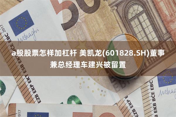 a股股票怎样加杠杆 美凯龙(601828.SH)董事兼总经理车建兴被留置