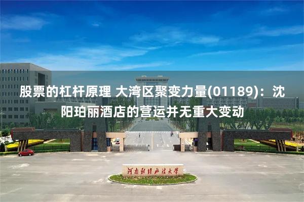 股票的杠杆原理 大湾区聚变力量(01189)：沈阳珀丽酒店的营运并无重大变动