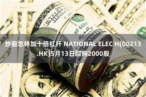 炒股怎样加十倍杠杆 NATIONAL ELEC H(00213.HK)5月13日回购2000股