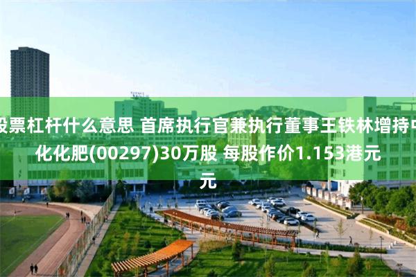 股票杠杆什么意思 首席执行官兼执行董事王铁林增持中化化肥(00297)30万股 每股作价1.153港元