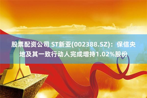 股票配资公司 ST新亚(002388.SZ)：保信央地及其一致行动人完成增持1.02%股份