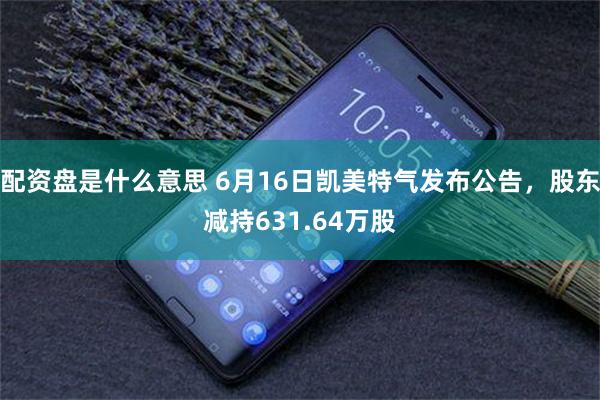 配资盘是什么意思 6月16日凯美特气发布公告，股东减持631.64万股