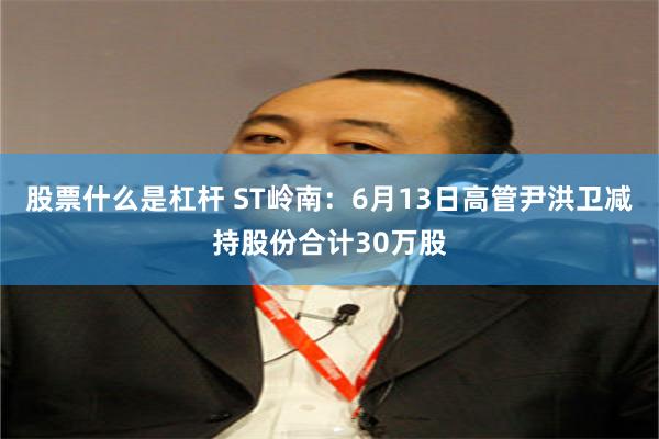 股票什么是杠杆 ST岭南：6月13日高管尹洪卫减持股份合计30万股