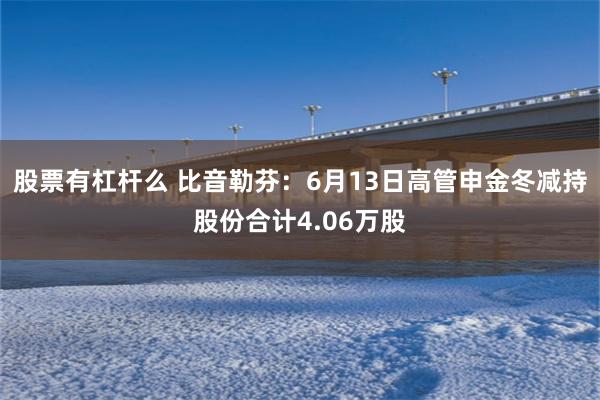 股票有杠杆么 比音勒芬：6月13日高管申金冬减持股份合计4.06万股