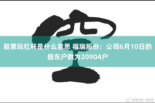股票玩杠杆是什么意思 福瑞股份：公司6月10日的股东户数为20904户