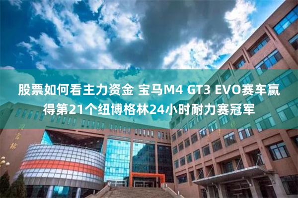 股票如何看主力资金 宝马M4 GT3 EVO赛车赢得第21个纽博格林24小时耐力赛冠军