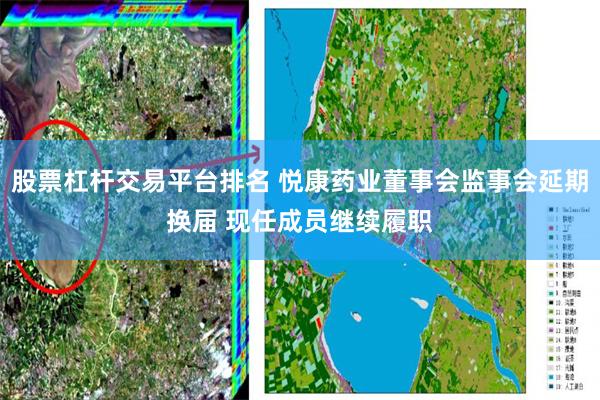 股票杠杆交易平台排名 悦康药业董事会监事会延期换届 现任成员继续履职