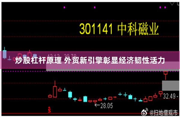 炒股杠杆原理 外贸新引擎彰显经济韧性活力