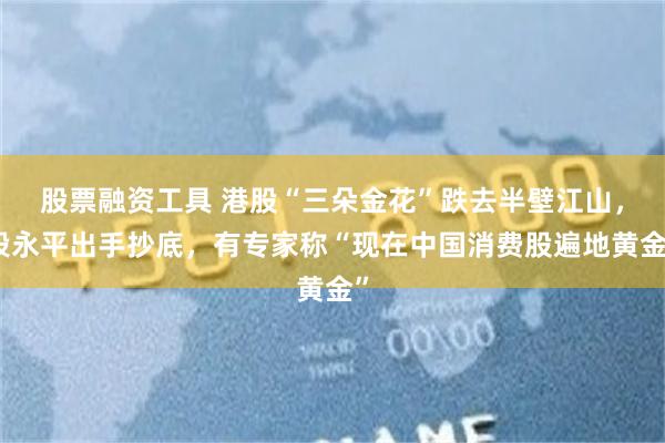 股票融资工具 港股“三朵金花”跌去半壁江山，段永平出手抄底，有专家称“现在中国消费股遍地黄金”