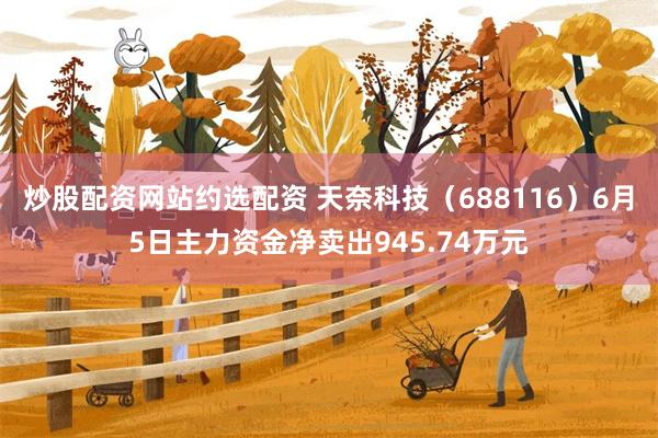 炒股配资网站约选配资 天奈科技（688116）6月5日主力资金净卖出945.74万元