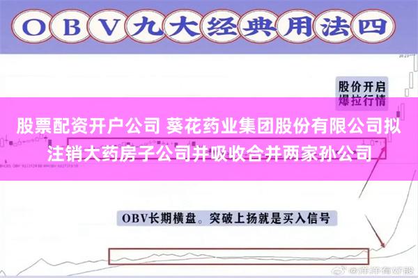 股票配资开户公司 葵花药业集团股份有限公司拟注销大药房子公司并吸收合并两家孙公司