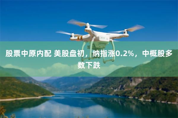 股票中原内配 美股盘初，纳指涨0.2%，中概股多数下跌