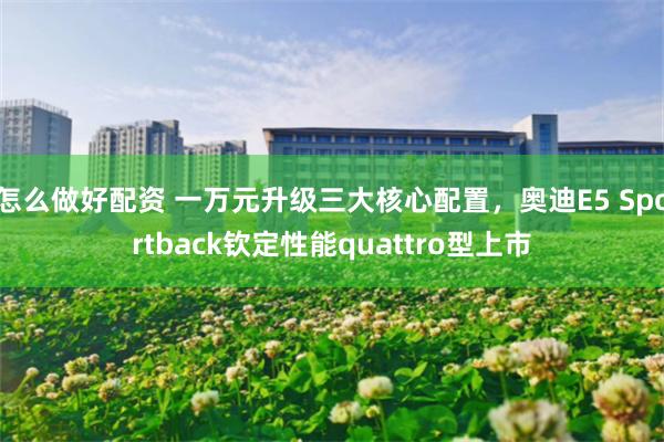 怎么做好配资 一万元升级三大核心配置，奥迪E5 Sportback钦定性能quattro型上市