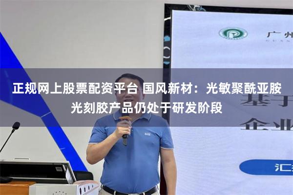 正规网上股票配资平台 国风新材：光敏聚酰亚胺光刻胶产品仍处于研发阶段
