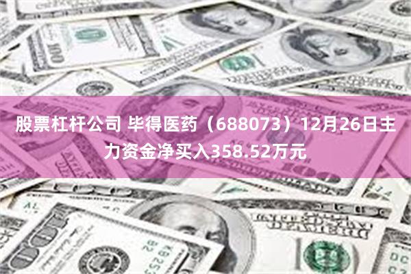 股票杠杆公司 毕得医药（688073）12月26日主力资金净买入358.52万元