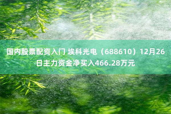国内股票配资入门 埃科光电(688610)12月26日主力资金净买入466.28万元