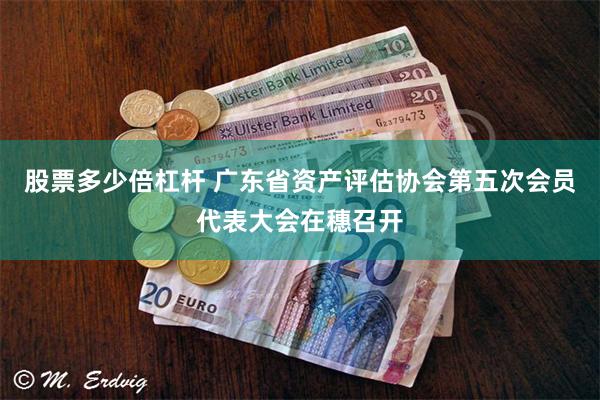 股票多少倍杠杆 广东省资产评估协会第五次会员代表大会在穗召开