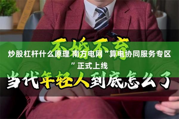 炒股杠杆什么原理 南方电网“算电协同服务专区”正式上线