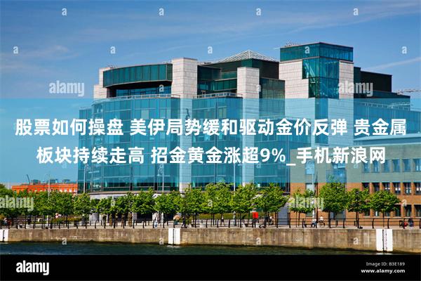 股票如何操盘 美伊局势缓和驱动金价反弹 贵金属板块持续走高 招金黄金涨超9%_手机新浪网
