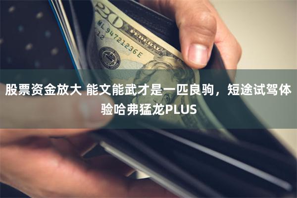 股票资金放大 能文能武才是一匹良驹,短途试驾体验哈弗猛龙PLUS