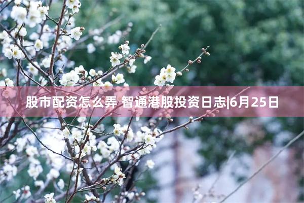 股市配资怎么弄 智通港股投资日志|6月25日