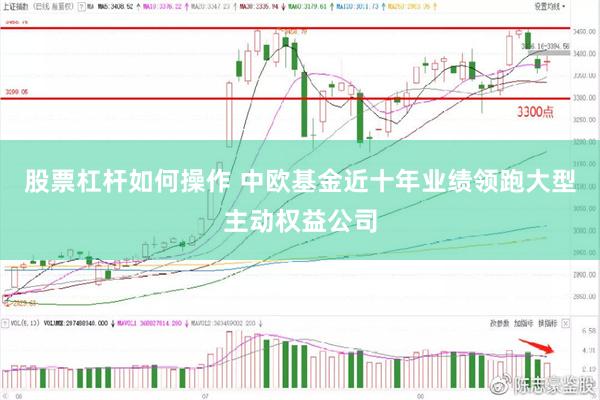 股票杠杆如何操作 中欧基金近十年业绩领跑大型主动权益公司