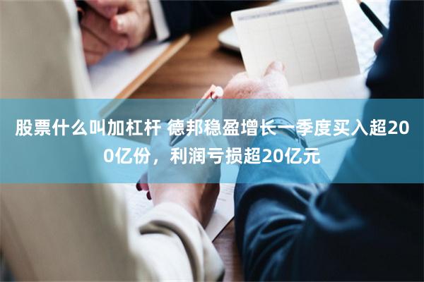 股票什么叫加杠杆 德邦稳盈增长一季度买入超200亿份,利润亏损超20亿元